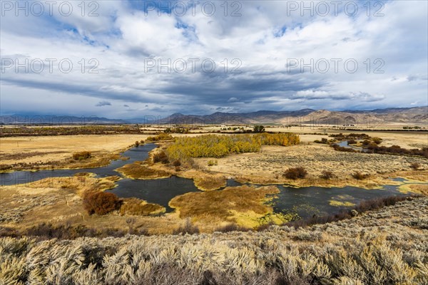 River in marsh