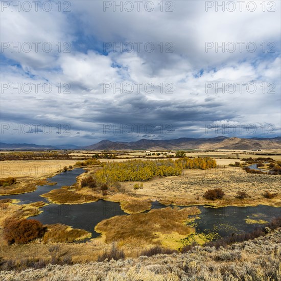 River in marsh