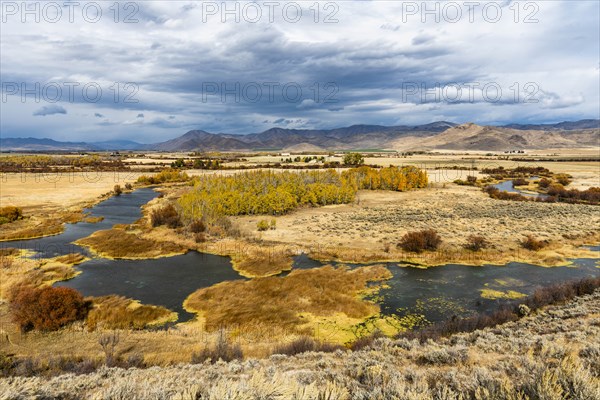 River in marsh