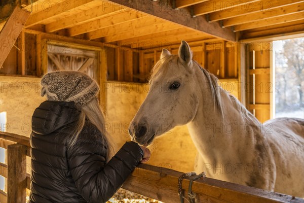 Woman and horse in stable