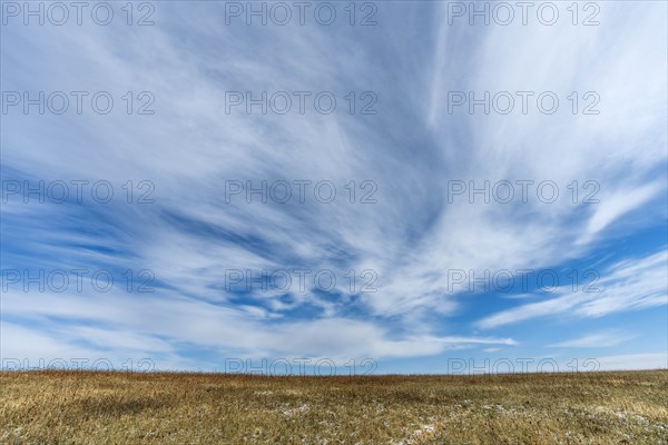 Field under cloud