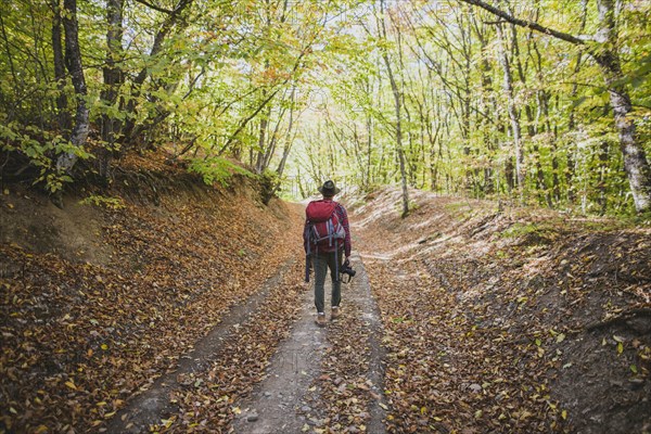 Man hiking in forest