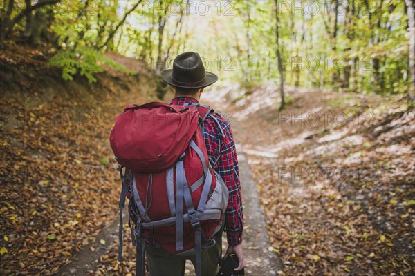 Man hiking in forest