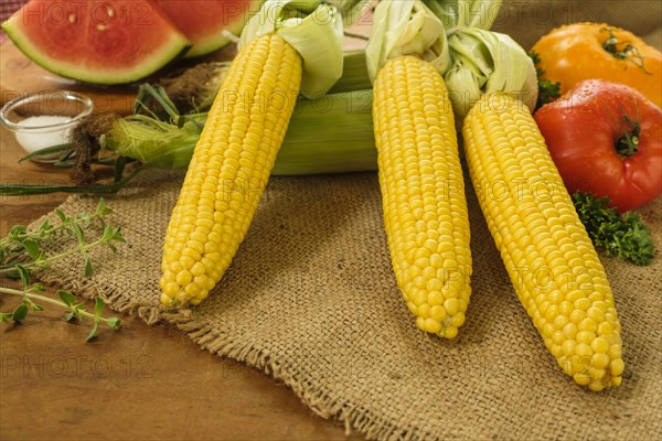 Fresh corn cobs