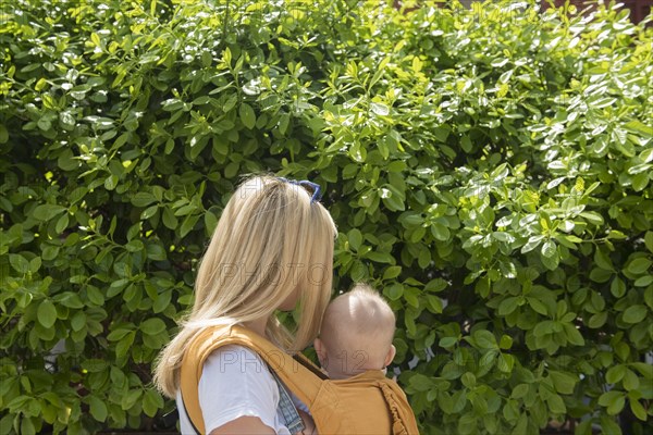 Mother carrying her daughter in baby carrier