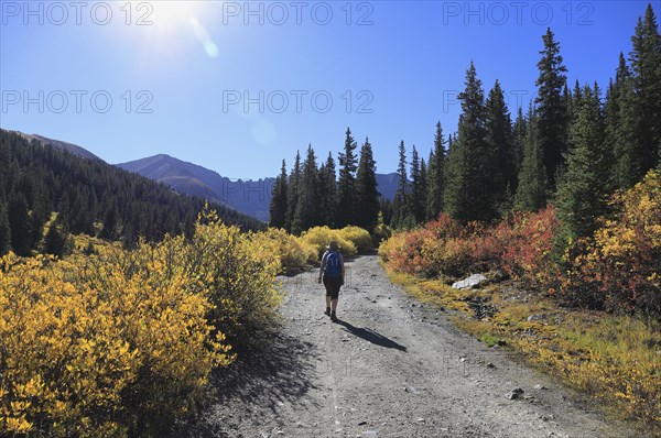 Woman hiking at Mayflower Gulch in Colorado