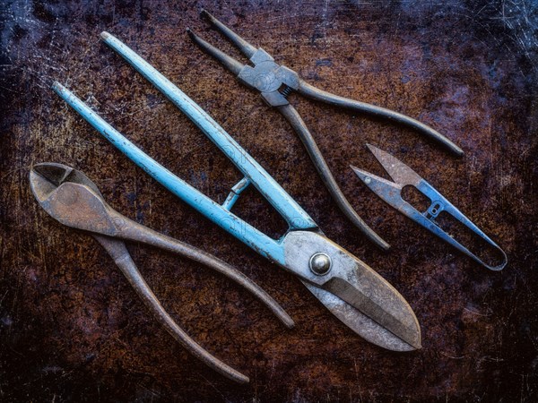 Pliers and shears