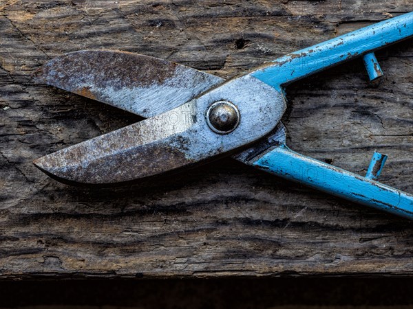 Rusted shears