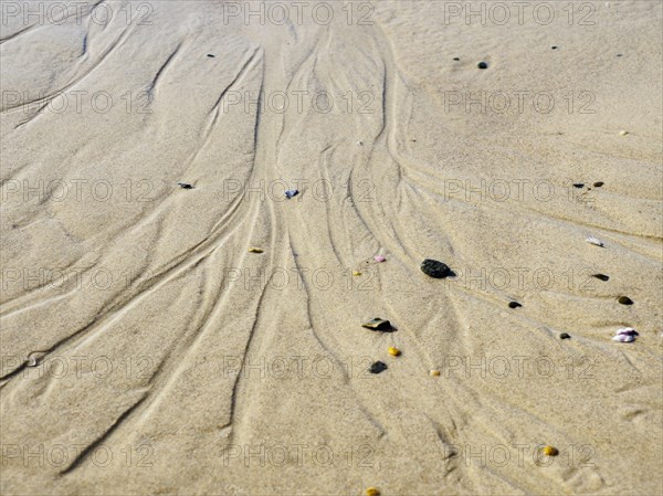 Rivulets in sand