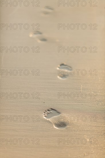 Footprints in sand