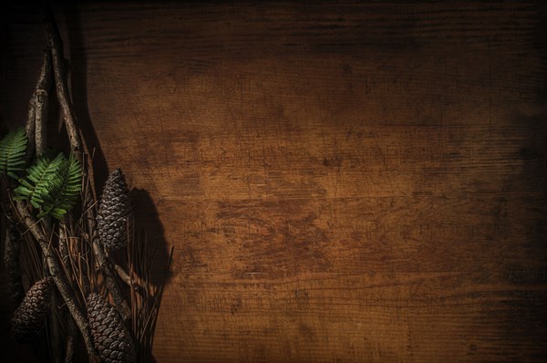 Pinecones on wooden table