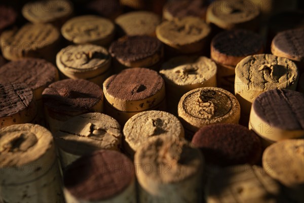 Collection of wine corks