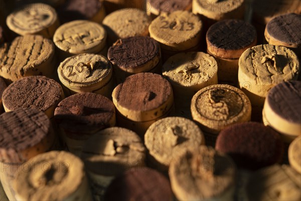 Collection of wine corks