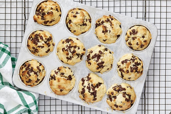 Fruit muffins in muffin tin