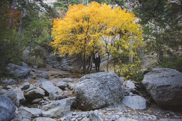 young woman on boulder in autumn forest