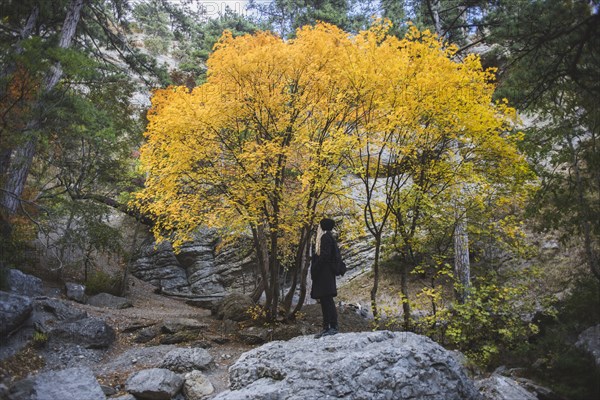 young woman on boulder in autumn forest