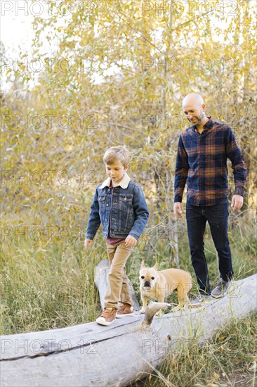 Father and son with pet French bulldog on fallen tree