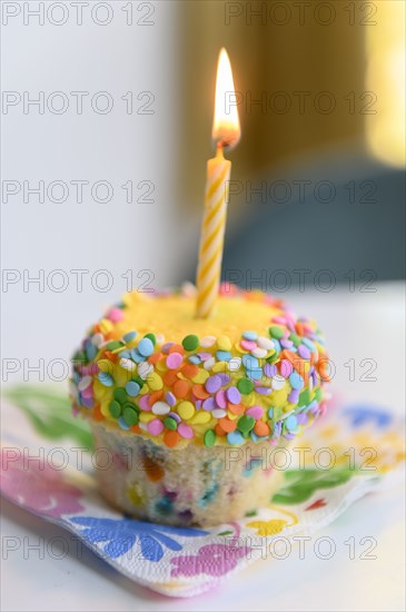 Cupcake with birthday candle