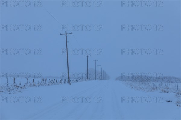 Power lines by snow on highway