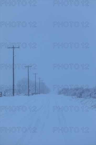 Power lines by snow on highway