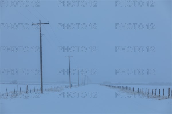 Power lines by snow on highway