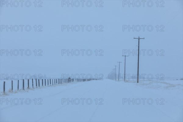 Power lines by snow on highway