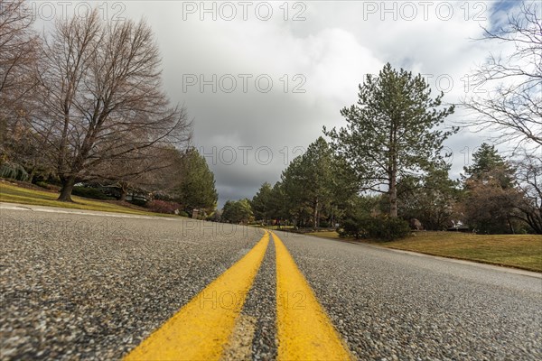 Yellow lines on road