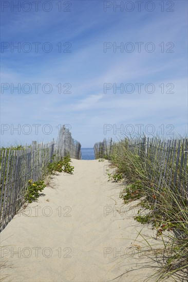 Wooden fence and path to beach