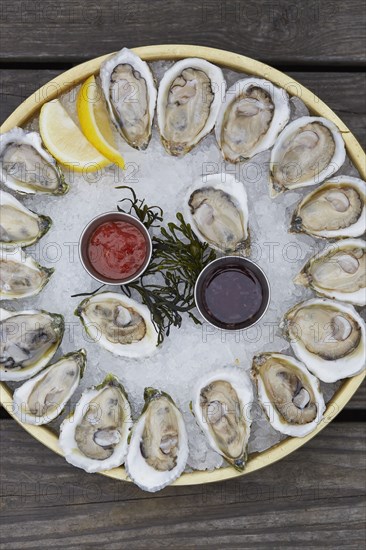 Oyster platter