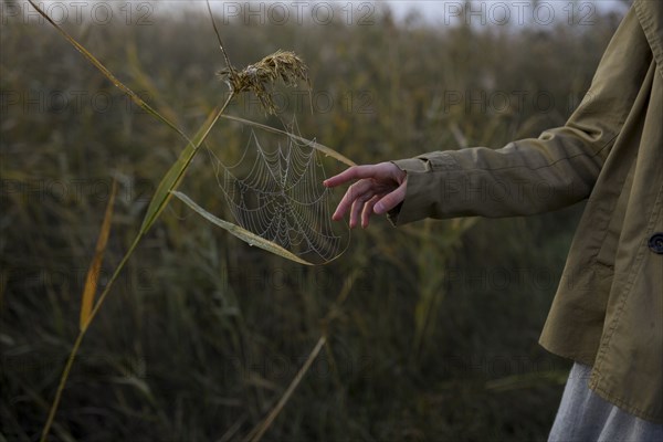 Hand of woman touching spiderweb on long grass