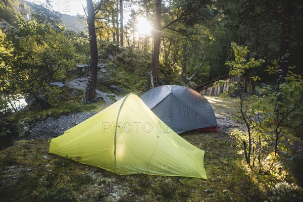 Tents in forest