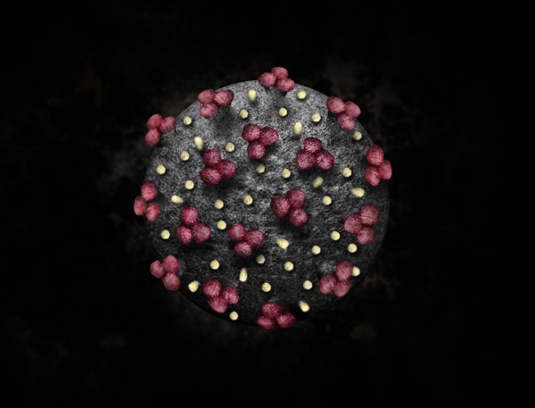 Digitally generated image of Coronavirus