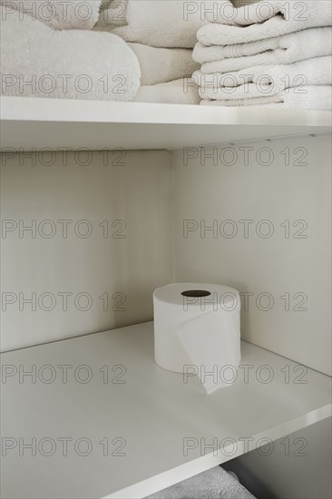 White towels and toilet paper on shelves