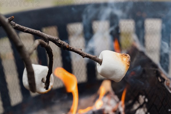 Roasting marshmallows over fire