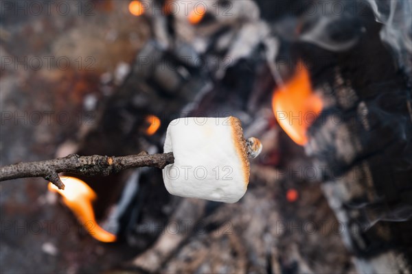 Close up of Marshmallow on stick roasting over fire