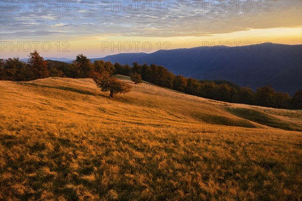 Ukraine, Zakarpattia region, Carpathians, Borzhava, Hillside mountain Munchel, Autumn landscape with mountains behind in evening light