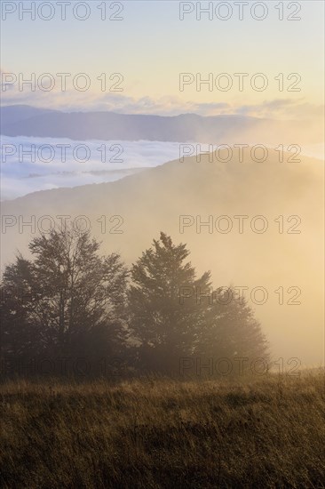 Ukraine, Zakarpattia region, Carpathians, Borzhava, Pryslip Pass, Mountain landscape in morning fog