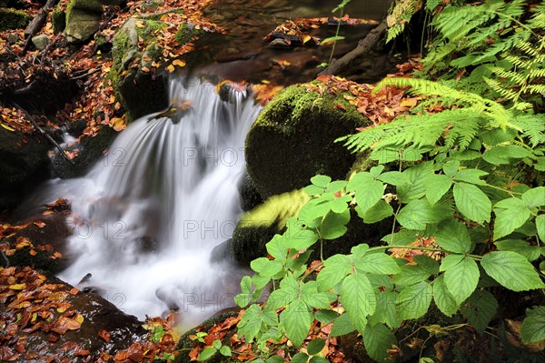 Ukraine, Zakarpattia region, Carpathians, Verkhniy Shypot waterfall, Blurred waterfall in autumn scenery