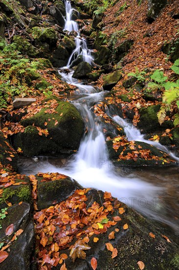 Ukraine, Zakarpattia region, Carpathians, Verkhniy Shypot waterfall, Blurred waterfall in autumn scenery