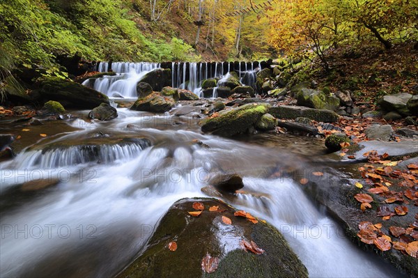 Ukraine, Zakarpattia region, Carpathians, Verkhniy Shypot waterfall, Blurred waterfall in autumn woods