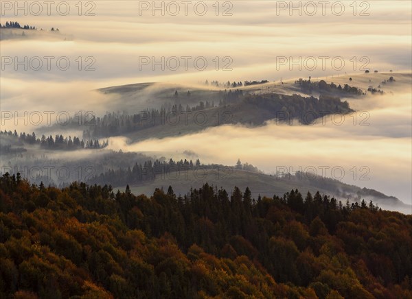 Ukraine, Zakarpattia region, Carpathians, Borzhava, Morning fog over mountain landscape