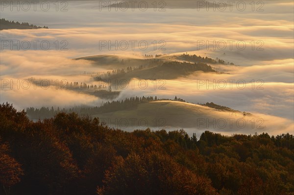Ukraine, Zakarpattia region, Carpathians, Borzhava, Morning fog over mountain landscape