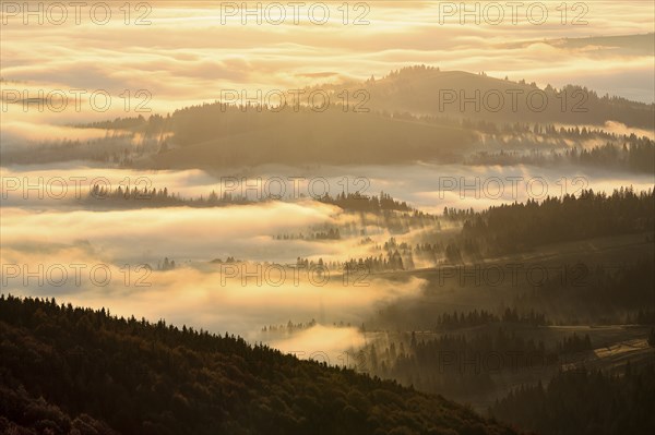 Ukraine, Zakarpattia region, Carpathians, Borzhava, Mountain landscape in fog illuminated by morning sunlight