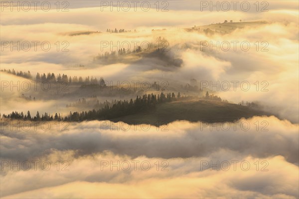 Ukraine, Zakarpattia region, Carpathians, Borzhava, Foggy hills of Carpathian Mountains at sunrise