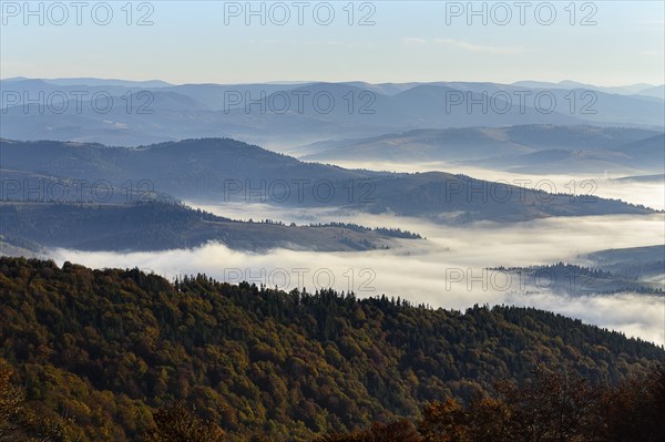 Ukraine, Zakarpattia region, Carpathians, Borzhava, Foggy hills of Carpathian Mountains at sunrise