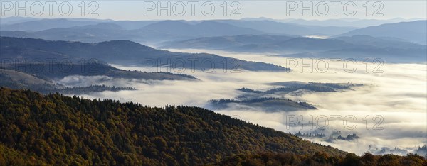 Ukraine, Zakarpattia region, Carpathians, Borzhava, Foggy hills of Carpathian Mountains at sunrise