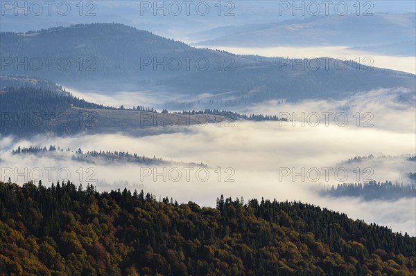 Ukraine, Zakarpattia region, Carpathians, Borzhava, Foggy hills of Carpathian Mountains at sunrise