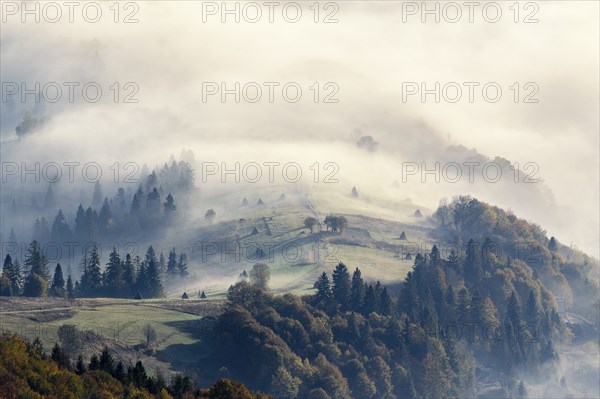 Ukraine, Zakarpattia region, Carpathians, Borzhava, Foggy hills of Carpathian Mountains at sunrise
