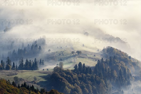 Ukraine, Zakarpattia region, Carpathians, Borzhava, Foggy hills of Carpathian Mountains at sunrise