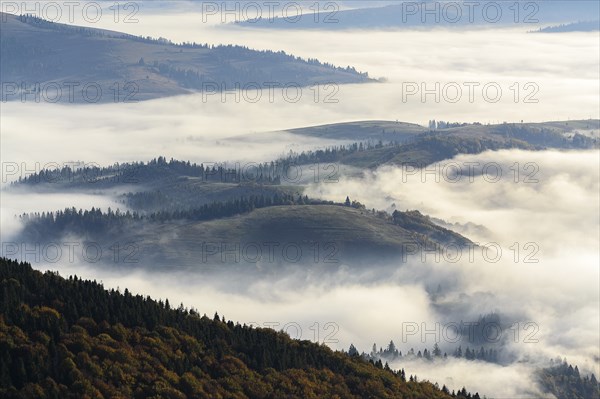 Ukraine, Zakarpattia region, Carpathians, Borzhava, Foggy hills of Carpathian Mountains at sunrise